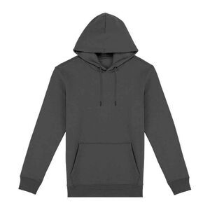 Native Spirit Unisex Adult Heavyweight Hoodie / Iron Grey